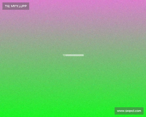 10年瑞纳进行大维修感觉投资太大了