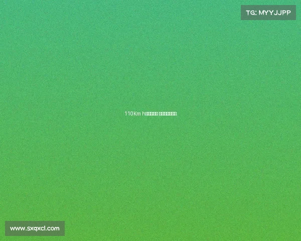 110Km h撞断行道树 我却只擦破点皮