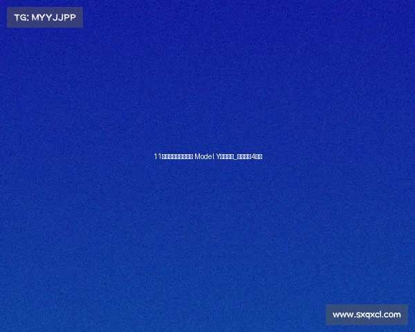 11月国内汽车销量分析 Model Y重回榜首_海鸥首破4万台