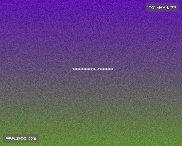 12年差口气现代索八，发变完美，2.0自动，喜欢的朋友来